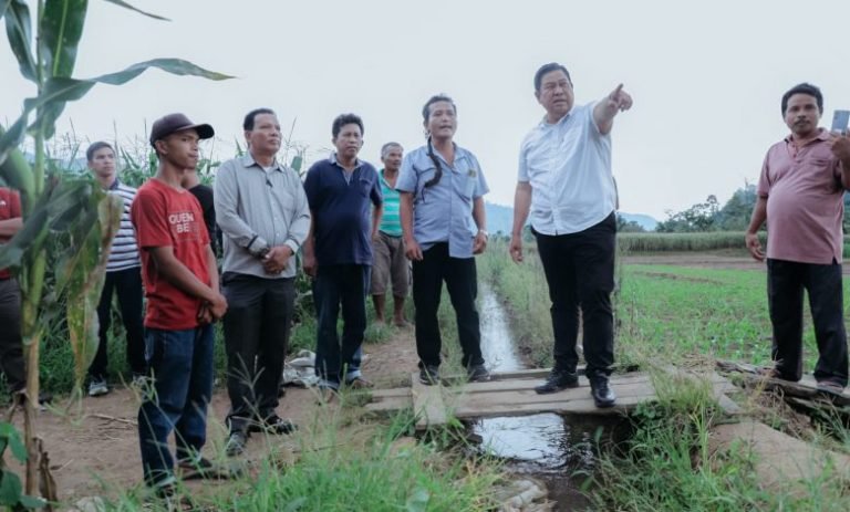 Tinjau Irigasi Kampung Merdeka dan Jalan Desa Lae Itam, Bupati Eddy Berutu: Semoga Tahun Ini Bisa Diperbaiki