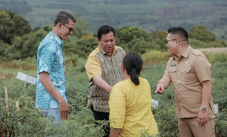 Tinjau KPT Parbuluan V, Bupati Tak Sabar Segera Panen Raya