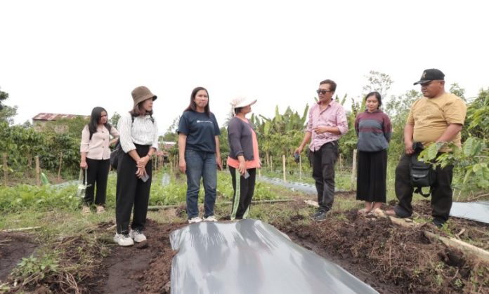 Tionora Manihuruk: Petani Harus Tetap Belajar Tingkatkan Kualitas dan Kuantitas Pertanian