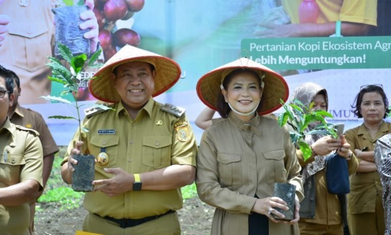 Kembalikan Kejayaan Kopi Sidikalang, Ini Langkah Strategis Bupati Dairi Eddy Berutu