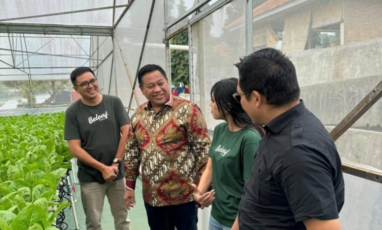Kunjungi Beleaf Farms Meraki di Cianjur, Bupati Eddy Berutu Impikan Mekanisasi Pertanian di Dairi