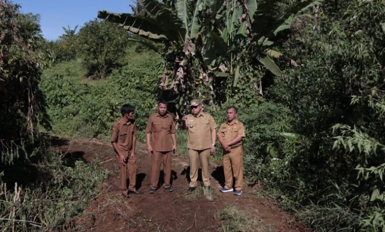 Bupati Dairi Eddy Berutu Tinjau Pembukaan Jalan Usaha Tani di Desa Pegagan Julu VII, Masyarakat Senang