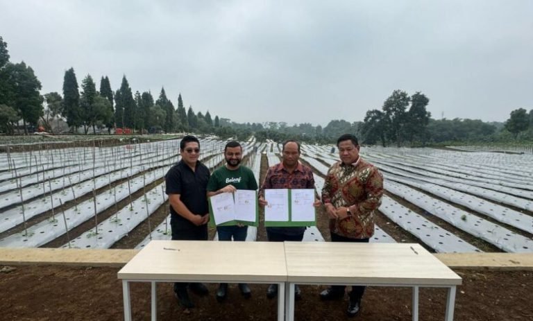 Wujudkan Kemandirian Petani Menuju Ketahanan Pangan, Bupati Eddy Berutu Saksikan Penandatangan Kerjasama Koperasi Aur Dairi Botanical dan PT Beleaf